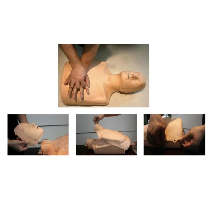 可调式成人与儿童心肺复苏模拟人KAS/CPR185+