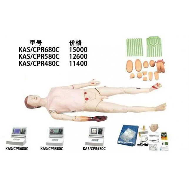心肺复苏模型KAS-CPR680C 高清实拍图