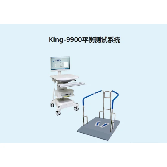 金昌誉平衡测试系统King-9900