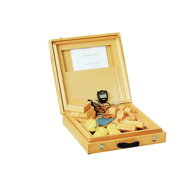 简易上肢功能评价器XY-61