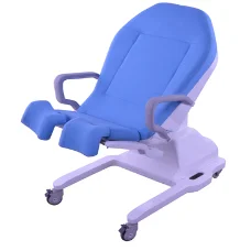 华恩电动产床HEDC03C