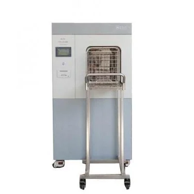环氧乙烷灭菌柜ZMW-50L型